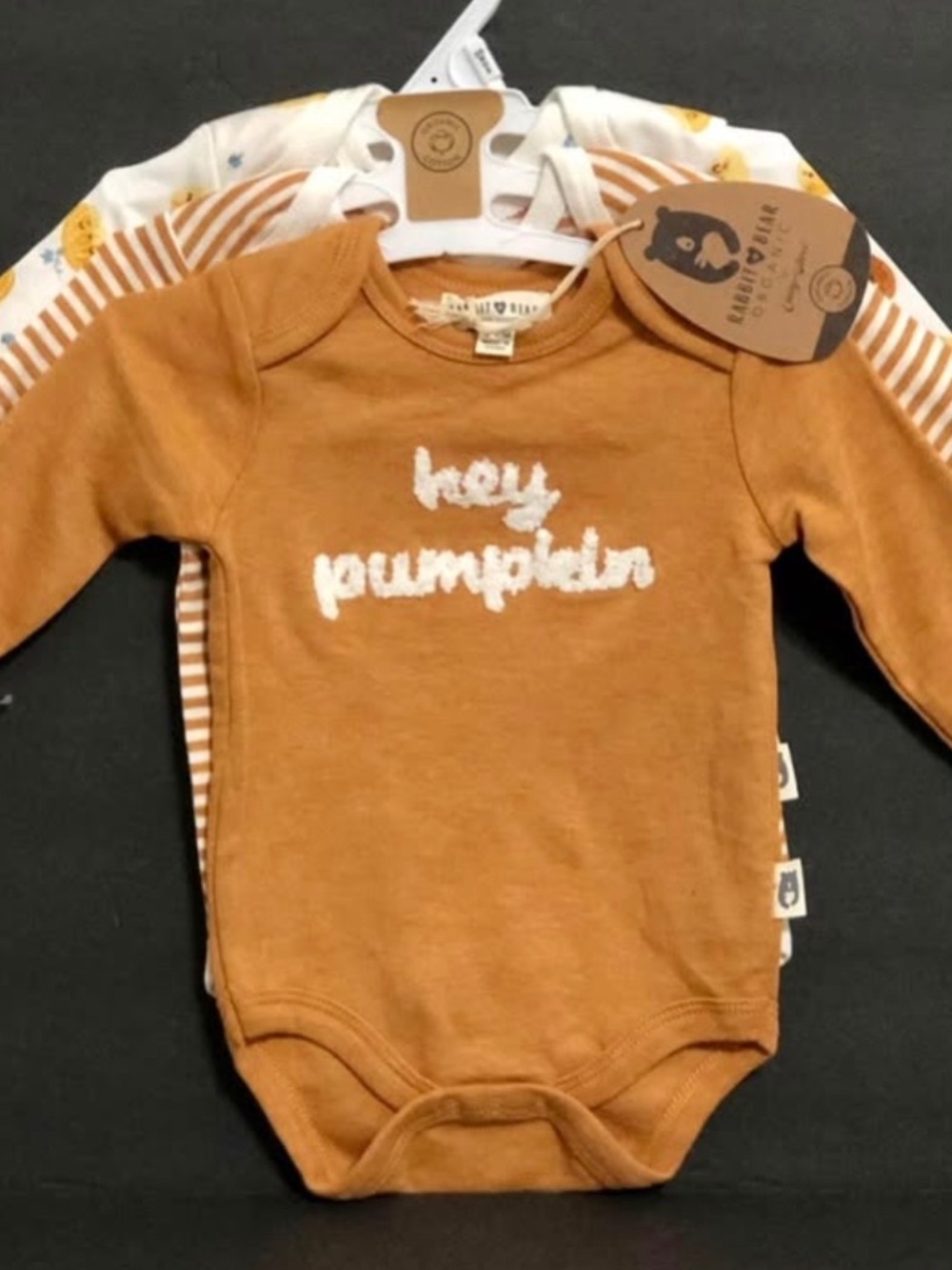 NEW Rabbit + Bear Organic Pumpkin Long Sleeve Onesies Size 3-6 Months.